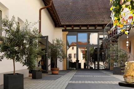 hofeingang-und-skulptur-vom-weingut-wambsganns